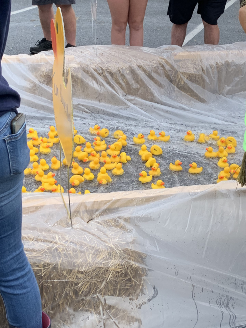 Mount Airy Duck Race 2023